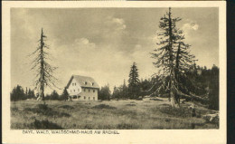 10376164 Rachel Rachel Bayr. Wald Waldschmid - Haus Ungelaufen Ca. 1920 - Other & Unclassified