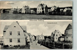13516621 - Obercrinitz - Crinitzberg