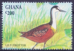 Ghana 1994 MNH, Birds, Lily Trotter - Cigognes & échassiers