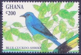 Ghana 1994 MNH, Birds, Blue Cuckoo Shrike - Koekoeken En Toerako's