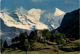 Ruine Telleburg Bei Frutigen (327) * 21. 7. 1965 - Frutigen