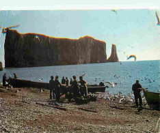 Canada - Pecheurs Préparant Leurs Prises De Morues Sur La Plage Parmi Les Goélands - CPM - Voir Scans Recto-Verso - Non Classés