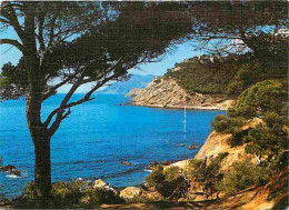 83 - Saint Mandrier - La Corniche D'Or - CPM - Voir Scans Recto-Verso - Saint-Mandrier-sur-Mer