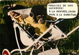 Animaux - Singes - Bébé Chimpanzé - Carte à Message - Carte Humoristique - CPM - Voir Scans Recto-Verso - Singes