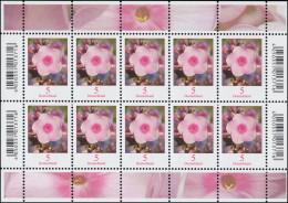 3296 Blumen 5 Cent Phlox - Zehnerbogen ** Postfrisch - 2001-2010