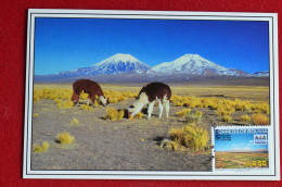 Bolivia Maxicard Volcano Payachatas Carte Maximum Volcan Bolivie" - Vulkanen