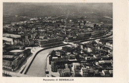 PANORAMA DI SENIGALLIA - F.P. - Senigallia