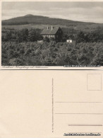 Ansichtskarte Braunlage Forsthaus Königskrug Mit Achtermann 1929 - Braunlage