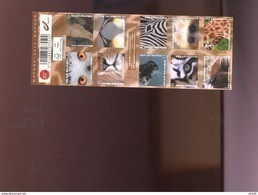 Belgie Boekje 2013 B140 ZOO ANtwerp Birds Owl Elephant Lion Pinguin Seal Tigre Zebra Okapi Giraffe Ape MNH 4340/49 - 1997-… Validité Permanente [B]