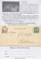 Schweden 1920, Skane Konstforening, Bilder Brief  V. Malmö M. 5 öre.  #2200 - Covers & Documents