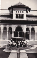 Granada, Patio De Los Leones - Granada