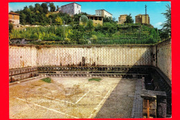 ITALIA - Abruzzo - Cartolina Viaggiata Nel 1969 - L'Aquila - Fontana 99 Cannelle (sullo Sfondo Convento S. Chiara) - L'Aquila