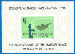 Turkey Cyprus 1979 Year , Block Mint MNH (**) - Nuevos