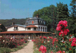 27 - Lyons La Forêt - Domaine Saint Paul - La Roseraie - Fleurs - CPM - Flamme Postale - Voir Scans Recto-Verso - Lyons-la-Forêt