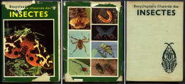 Collection GRÜND ‘’ENCYCLOPEDIE ILLUSTREE DES INSECTES ‘’ - 1974 - NC - Enciclopedias