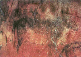 Art - Antiquité - Art Préhistorique - Peinture Préhistorique - Cueva Tito Bustillo Ribadeselia - Figura De Caballo Pinta - Antike