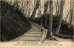 CPA CHEVREUSE La Montee Du Chateau De La Madeleine (1412401) - Chevreuse