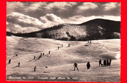 ITALIA - Abruzzo - Cartolina Non Viaggiata - 1952 - Roccaraso (L'Aquila) - Campetto Degli Alpini - Andere & Zonder Classificatie