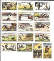 Z288 - SERIE COMPLETE 16 CARTES CAFES RICHS DANEMARK - JAGT - LA CHASSE - HUNTING SERIES - Té & Café