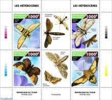 Chad 2022 Moths, Mint NH, Nature - Insects - Autres & Non Classés