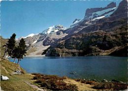 Engstlensee Am Jochpass (8256) * 31. 5. 1971 - Innertkirchen