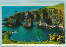 Dunquin Harbour - Dingle Peninsula - Kerry