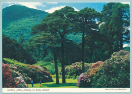 Muckross Gardens - Killarney - Kerry