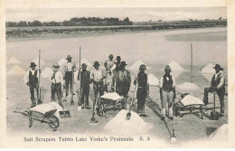 Australie - Salt Scrapers Tubbs Lake Yorke's Peninsula - Sonstige & Ohne Zuordnung