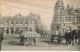 Australie - CLIFFST FREMANTLE - Agents Offices Ou Right - Fremantle