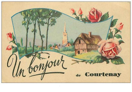 45.COURTENAY.n°77.UN BONJOUR DE COURTENAY - Courtenay