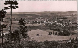 48.LANGOGNE.STATION CLIMATIQUE ALT 913 M.VUE GENERALE SUR LA VALLEE DE L'ALLIER.CPSM - Langogne