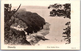 CLOVELLY - From Hobby Drive - Peacock "Platino-Photo" 3905 B. - Clovelly