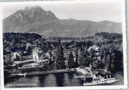 50577021 - Luzern Lucerne - Altri & Non Classificati