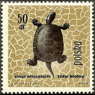 POLAND 1963 - Scott# 1136 Pond Turtle 50g LH - Neufs
