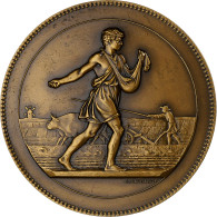 France, Médaille, Syndicat De L'Industrie Des Engrais Azotés, Bronze - Autres & Non Classés