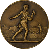 France, Médaille, Associations Agricoles, République Française, Bronze - Other & Unclassified