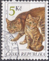 Domestic Cat (Felis Silvestris Catus) - 1999 - Oblitérés