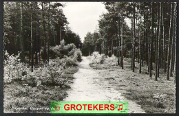 NIJVERDAL Bospad Op De Berg  1957 - Nijverdal