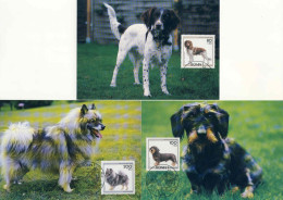 131  Chiens: 5 Cartes Maximum D'Allemagne, 1995 - Dogs: Complete Set Of 5 Maximum Cards From Germany - Honden