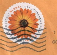 USA - 2022 - Flowers - African Daisy - Used. On Paper. - Oblitérés
