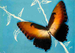 Animaux - Papillons - Papillons Exotiques - Morpho Hécuba - Grand' Planeur - CPM - Voir Scans Recto-Verso - Schmetterlinge