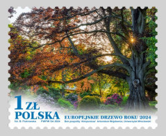 POLAND 2024 FLORA Nature. Plants. European Tree Of The Year - Fine Stamp MNH - Ongebruikt