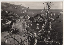 Taormina Mandorli In Fiore 1951 - Autres & Non Classés