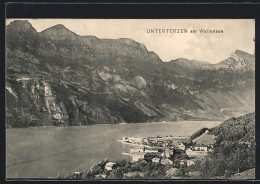 AK Unterterzen Am Wallensee, Ortsansicht Mit Bergen  - Berg