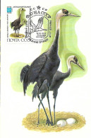 Russia CCCP - Maximum Card 1982 :  Hooded Crane  -  Grus Monachal - Grues Et Gruiformes