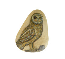 SHORT-EARED OWL Hand Painted On A Beach Stone Paperweight - Animaux