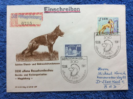 DDR - 1982 R-brief Aus Magdeburg. SST "Offene Rassehundeausstellung" - (2DMK013) - Brieven En Documenten