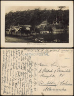 Postcard Sao Paulo Serra Da Cantareira - Brasil Basil 1931 - Other & Unclassified