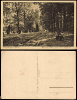 Ansichtskarte .Niedersachsen Weg Am Totengrund B. Wilsede 1932 - Lüneburger Heide