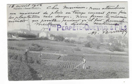 53390  Libin  Pepinieres  Perpete-Quevrin Et Fils - Libin